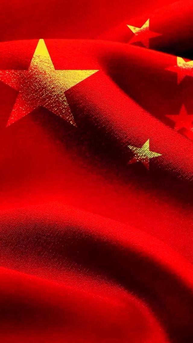 拯救受伤的猫